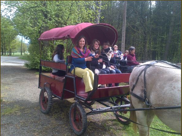 Location de calèche pour vos grands jours